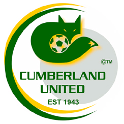 斯特尔特狮后备队